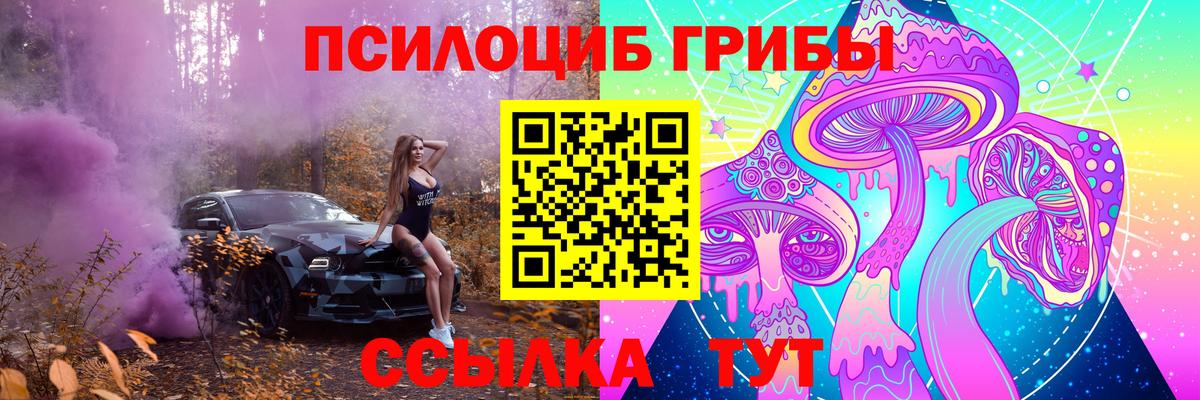 Галлюциногенные грибы мухоморы  Вход с VPN  Майкоп  купить наркотик  Псилоцибиновые грибы ЛСД 